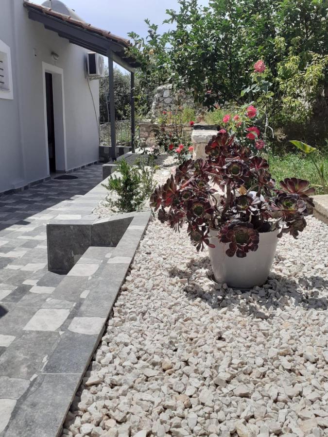 Apartmán Ago